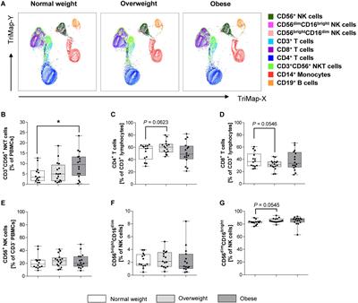 Characterization of Surface Receptor Expression and Cytotoxicity of Human NK Cells and NK Cell Subsets in Overweight and Obese Humans